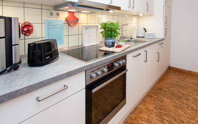Logement:&nbsp;Tunnelstrasse 157.1
