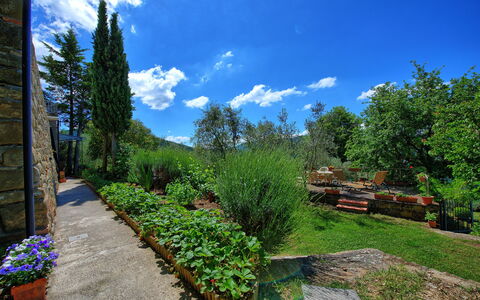 Panzalla: Jardin, La Nature, Propriété, Paysage Naturel, Végétation, Bleu, Ciel, Jardin Botanique, Arbre, Immobilier