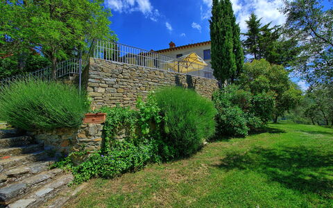 Panzalla: Végétation, Propriété, Vert, Paysage Naturel, Mur, Arbre, Maison, Herbe, Ciel, Architecture