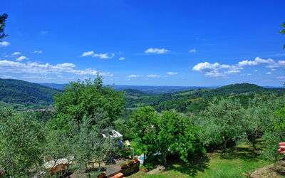 Panzalla