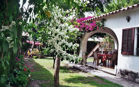 Vilafortuny: Plante, Fleur, Bâtiment, Fenêtre, Ombre, Chaise, Maison, Pétale, Paysage, Herbe
