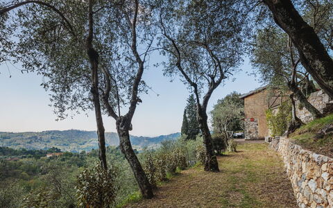 La Capannella: Ciel, Table, Meubles, Jour, Propriété, Plante, Montagne, Bleu Azur, Chaise, La Nature