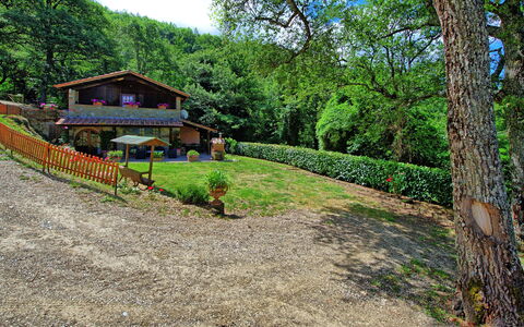 Villa Margherita: Propriété, Paysage Naturel, Arbre, Maison, Herbe, Immobilier, Paysage, Architecture, Zone Rurale, Forêt