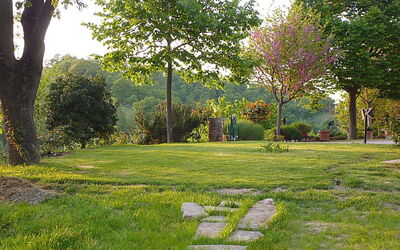 Podere Sionne