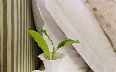 Logement:&nbsp;Piccolo