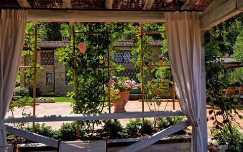 Villa Petrognano: Propriété, Pergola, Botanique, Maison, Arbre, Bâtiment, Architecture, Plante, Jardin, Domicile