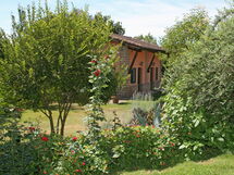 Rielli