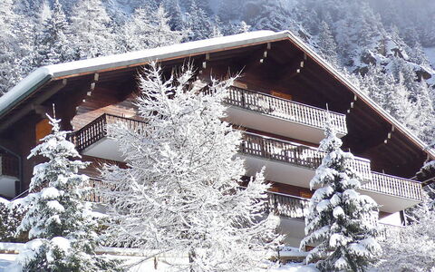 Champex 195: Neige, Bâtiment, Propriété, Plante, Fenêtre, Maison, Arbre, Montagne, Pente, Chalet