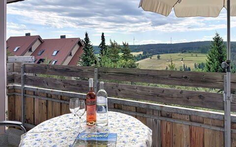 Schonach 125: Meubles, Chaise, Mobilier De Jardin, Balcon, Tableau De Plein Air, Table Cuisine Et Salle A Manger, Ombre, Plante D'Appartement, Table Basse, Patio