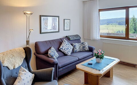 Logement:&nbsp;Schwarzwaldblick 125.11