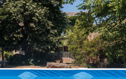 Le Jardin de Timothee: Plante, Jour, Propriété, Feuille, La Nature, Ombre, Botanique, Arbre, Piscine, Végétation