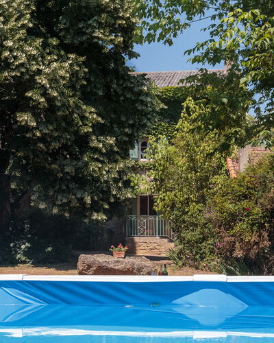 Le Jardin de Timothee: Plante, Jour, Propriété, Feuille, La Nature, Ombre, Botanique, Arbre, Piscine, Végétation