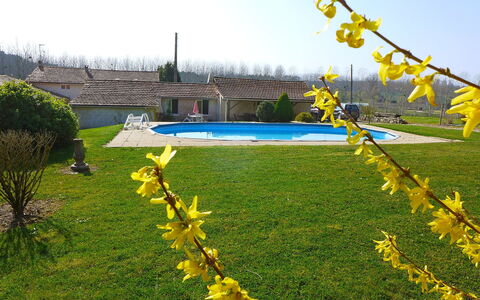 La Grangette: Jaune, Plante, Herbe, Fleur, Printemps, Jardin, Arbre, Pelouse, Paysage, Wildflower