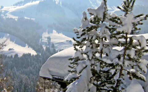Chalet le Chamois: Neige, L'Hiver, Arbre, Montagnes Relief, Montagne, Gelé, Plante, Suppression Des Plantes Ligneuses, Massif, Famille Pine
