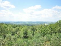 Podere Orietta
