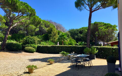 Le Mas D'Esquières 7: Plante, Ciel, Arbre, Paysage Naturel, Ombre, Botanique, Lot Terre, Mobilier De Jardin, Surface De La Route, Herbe