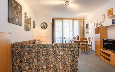 Logement:&nbsp;Vista Montagne 230.17