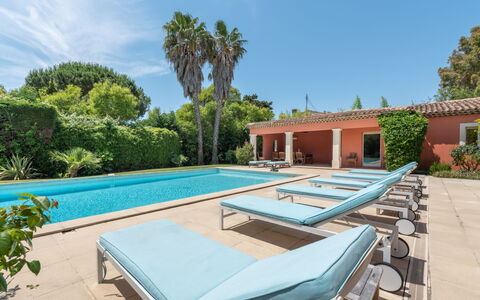 Les Mûres Mûres: Plante, Ciel, Propriété, L'Eau, Piscine, Arbre, Bleu Azur, Ombre, Mobilier De Jardin, Bâtiment