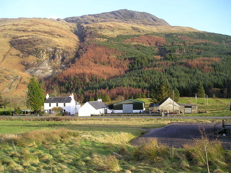 Fort William 100