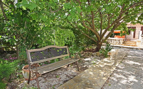 Marija: Propriété, Arbre, Banc, Meubles, Plante, Immobilier, Herbe, Extérieur Banc, Paysage, Maison