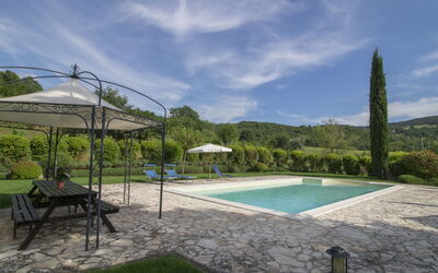 location de vacances Sunflower - Baschi, Ombrie, Italie