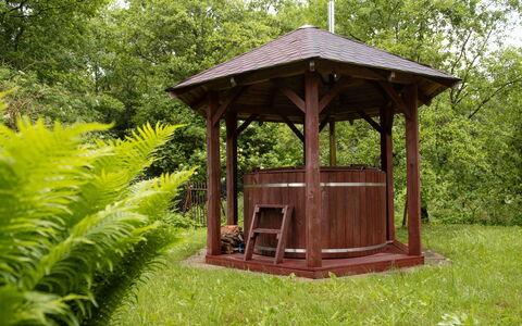Borowikowa: Belvédère, Bois, Pavillon, Jardin, Batiments Jardin, Communauté Des Plantes, Structure En Plein Air, Couverture De Sol, Ombre, Tache De Bois