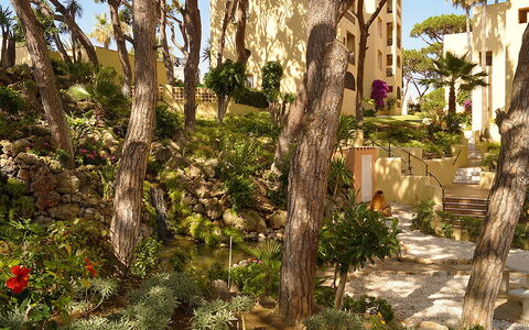Dona Lola: Arbre, Végétation, Botanique, Plante, Suppression Des Plantes Ligneuses, Biome, Communauté Des Plantes, Architecture, Palmier, Tronc