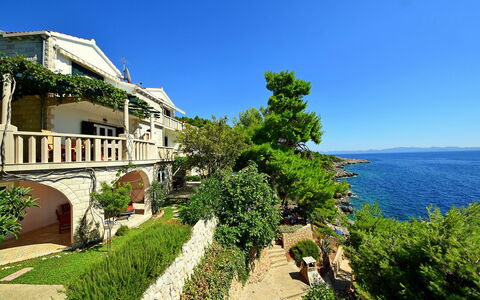Trstenik Dingač 301: Ciel, Plante, L'Eau, Bâtiment, Lot Terre, Herbe, Paysage Naturel, Arbre, Fenêtre, Design Urbain