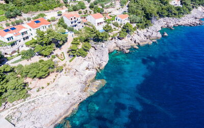 Trstenik Dingač 301