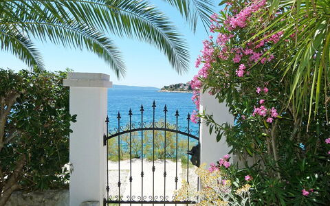 Tija: Végétation, Propriété, Arbre, Rose, Bougainvillea, Plante, Vacances, Botanique, Fleur, Maison
