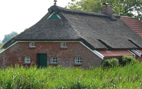 Norddeich 651: Toit, Chalet, Maison, Propriété, À Déchaumer, Domicile, Ferme, Bâtiment, Zone Rurale, Herbe