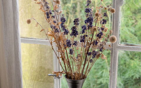 Norddeich 651: Plante, Fleur, Fenêtre, Vase, Bois, Arbre, Textile, Brindille, Design Intérieur, Rideau