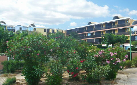 Gruissan Plage: Propriété, Zone Résidentielle, Plante, Arbre, Fleur, Ciel, Quartier, Zone Urbaine, Botanique, Immobilier