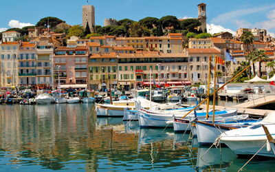 Cannes 462