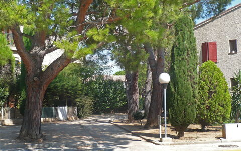 L'Ile Heureuse: Plante, Fenêtre, Arbre, Branche, Ombre, Surface De La Route, Tronc, Design Urbain, Suppression Des Plantes Ligneuses, Herbe