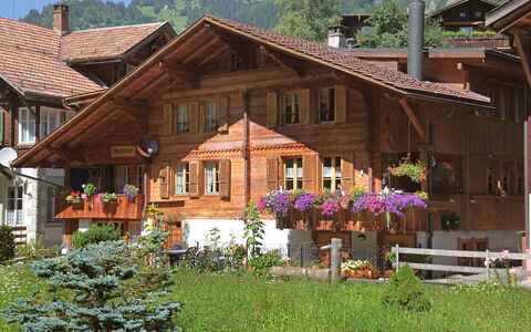 Grosshorn: Plante, Fleur, Propriété, Bâtiment, Fenêtre, Arbre, Bois, Maison, Ciel, Lot Terre
