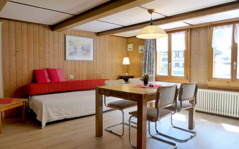 Grosshorn: Meubles, Fenêtre, Bâtiment, Table, Confort, Bois, Ombre, Design Intérieur, Sol, Plante D'Appartement