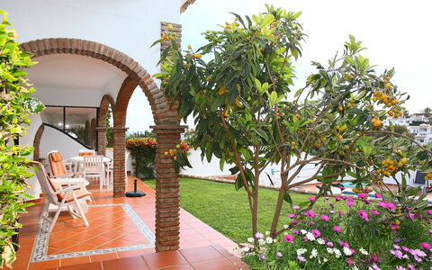 Villa Cielo: Plante, Fleur, Bâtiment, Vert, Pot De Fleur, Plante D'Appartement, Chaise, Mobilier De Jardin, Maison, Loisir