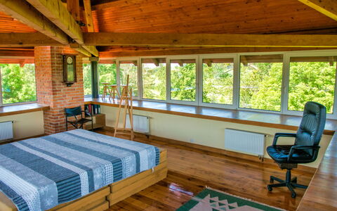 Wielkie Leźno: Propriété, Meubles, Fenêtre, Bâtiment, Vert, Bois, Design Intérieur, Ombre, Plante, Sol