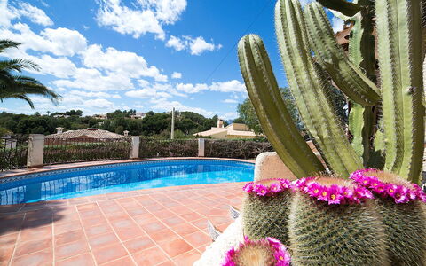 Luz Y Paz: Cactus, Propriété, Bleu Majorelle, Piscine, Ciel, Fleur, Botanique, Plante, Immobilier, Recours