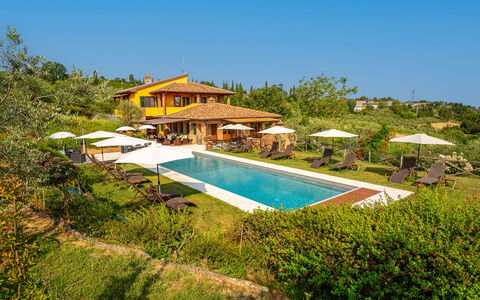 Villa Amadeo: Ciel, L'Eau, Plante, Piscine, Paysage Naturel, Ombre, Rectangle, Bâtiment, Mobilier De Jardin, Arecales