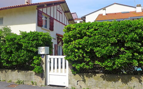 Jean Michel: Plante, Bâtiment, Propriété, Fenêtre, Ciel, Maison, Lot Terre, Végétation, Quartier