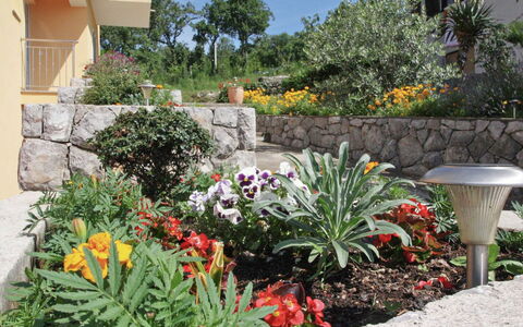 Opatija 106: Fleur, Jardin, Arbuste, Couverture De Sol, Aménagement Paysager, Plante À Fleurs, Cour, Dalle, Arrière-Cour