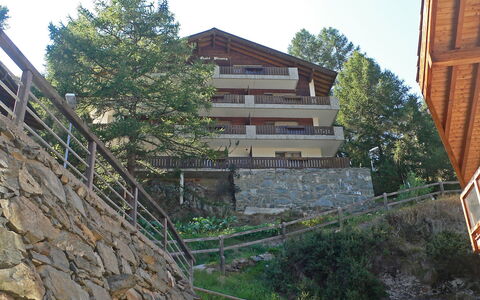 Memory: Mur, Propriété, Architecture, Maison, Bâtiment, Arbre, Immobilier, Domicile, Façade, Plante