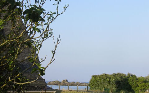 Sables Blancs: Arbre, Végétation, Ciel, Branche, L'Eau, Voie Navigable, Suppression Des Plantes Ligneuses, Feuille, Plante, Rivière