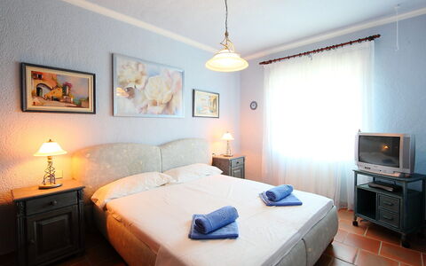 Sara: Chambre, Pièce, Meubles, Propriété, Lit, Drap De Lit, Design Intérieur, Bâtiment, Cadre De Lit, Matelas