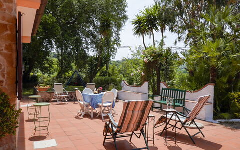 Sunny: Meubles, Plante, Chaise, Table, Ombre, Arbre, Mobilier De Jardin, Tableau De Plein Air, Design Intérieur, Ciel