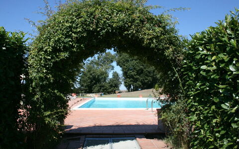 Fattoria le Chianacce: Cambre, Propriété, Architecture, Arbre, Ciel, Botanique, Arbuste, Jardin, Plante, Immobilier