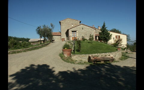 Logement:&nbsp;Chiarina