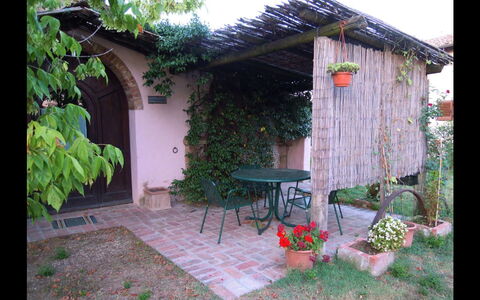 Fattoria la Gabola: Propriété, Arrière-Cour, Cour, Maison, Cabanon, Bâtiment, Chalet, Batiments Jardin, Jardin, Aménagement Paysager